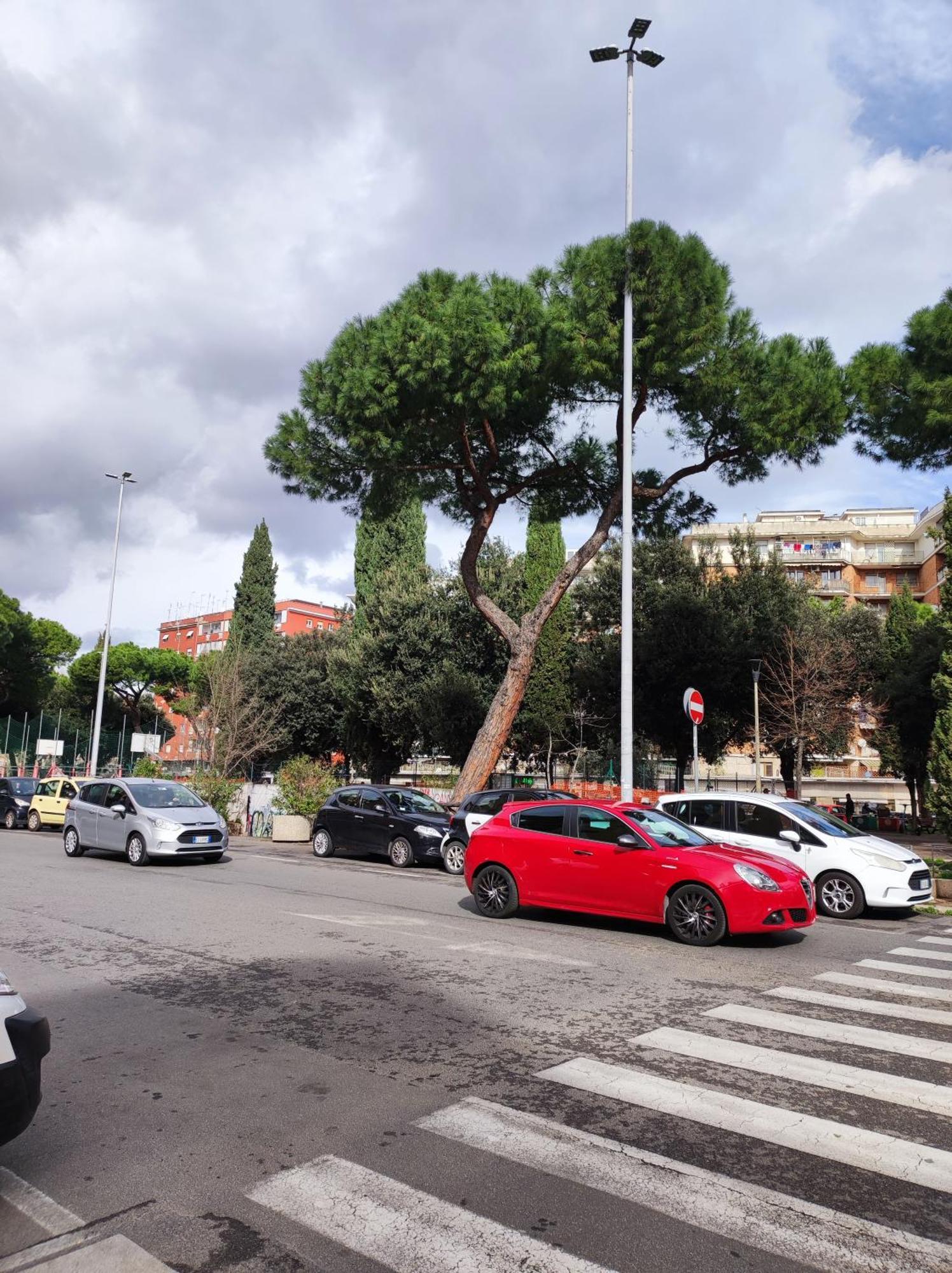 Consoli Appartamento Roma
